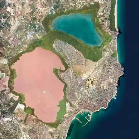 Mar Baltico * トレビエハ