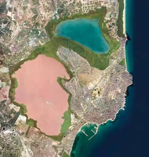 Mar Baltico * Torrevieja